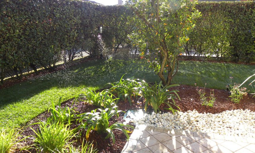 realizzazione giardino in provincia di Treviso con siepi aiuole e prato a rotoli