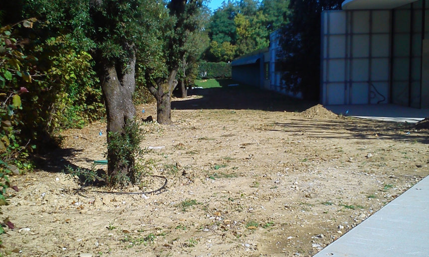immagine giardino aziendale a preganziol con prato a rotoli e impianto di irrigazione