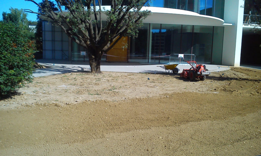 immagine giardino aziendale a preganziol con prato a rotoli e impianto di irrigazione