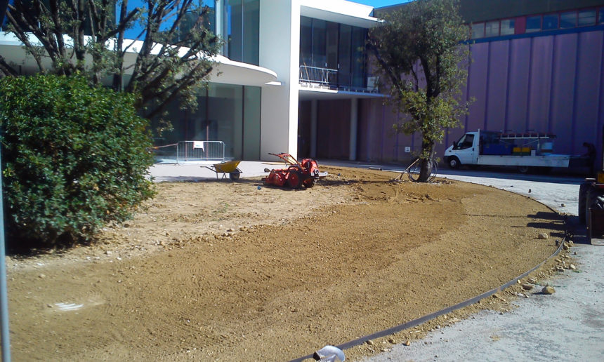 immagine giardino aziendale a preganziol con prato a rotoli e impianto di irrigazione