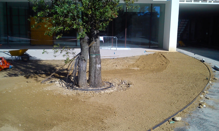 immagine giardino aziendale a preganziol con prato a rotoli e impianto di irrigazione