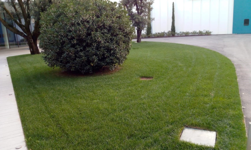 immagine giardino aziendale a preganziol con prato a rotoli e impianto di irrigazione