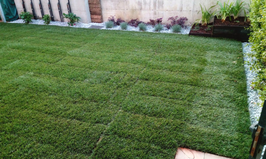 immagine giardino casier con prato a rotoli impianto di irrigazione e aiuole