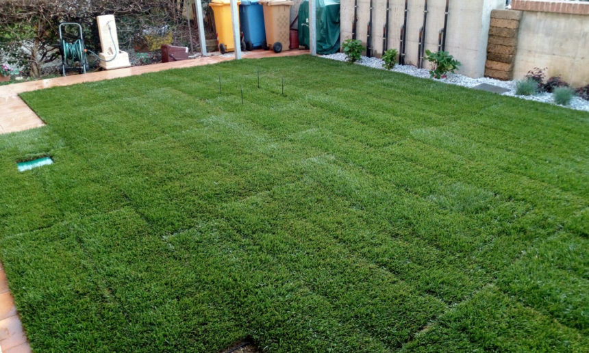 immagine giardino casier con prato a rotoli impianto di irrigazione e aiuole