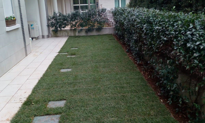 immagine giardino montebelluna con impianto di irrigazione bordure e prato a rotoli