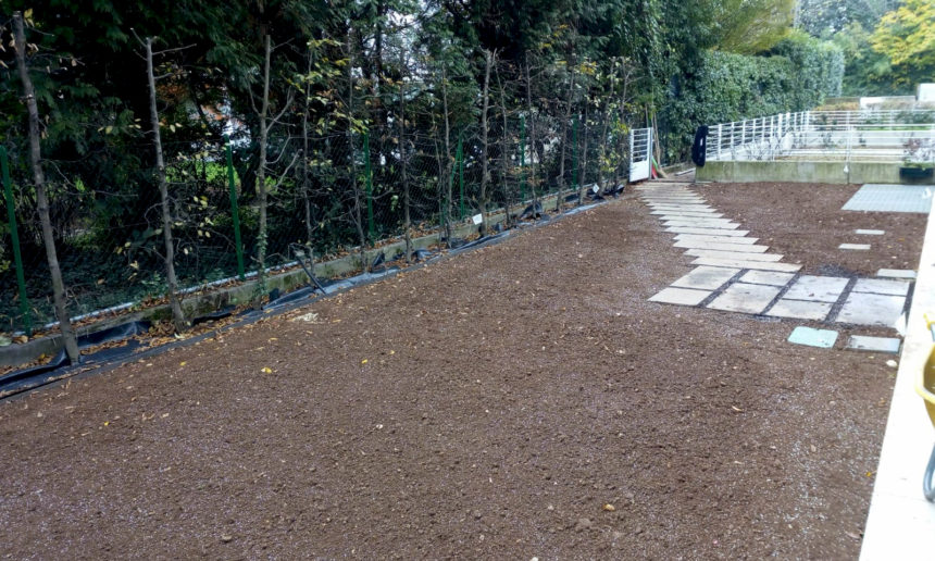 immagine giardino montebelluna con impianto di irrigazione bordure e prato a rotoli